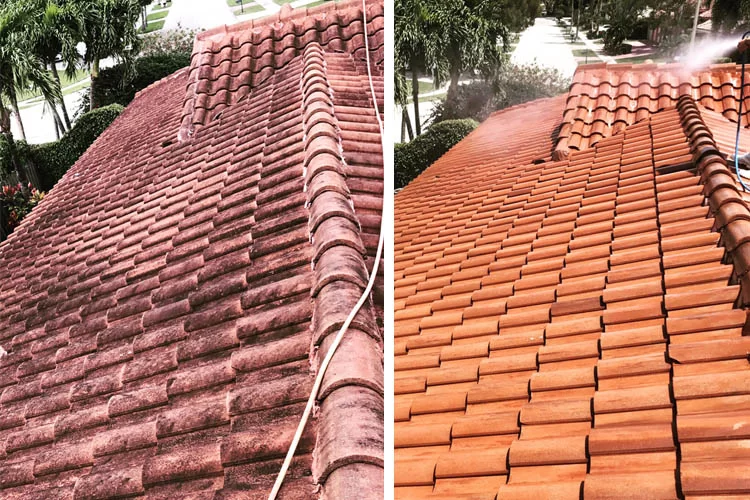 roof washing before and after